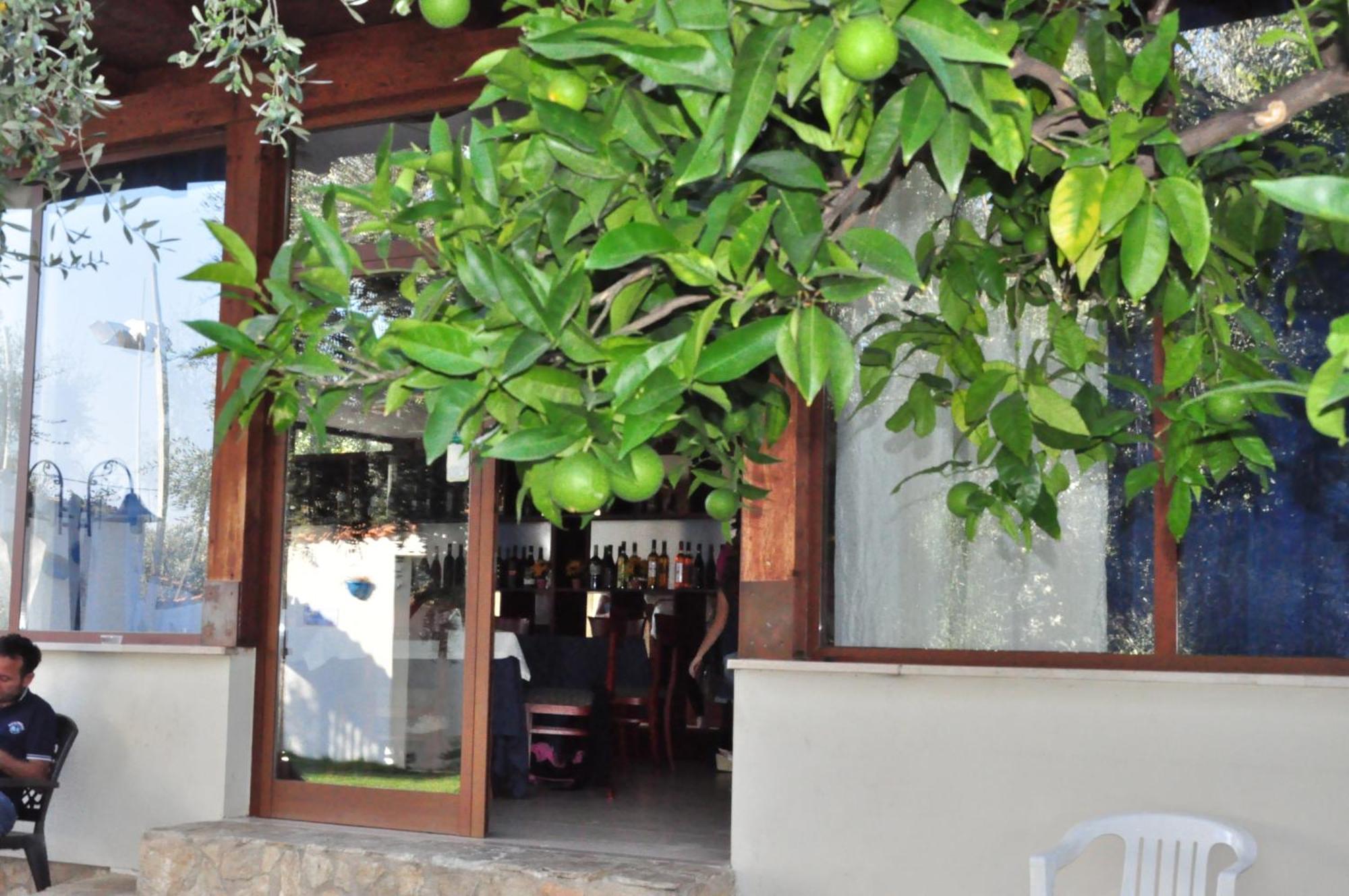 מאטינאטה Hotel Il Melograno מראה חיצוני תמונה