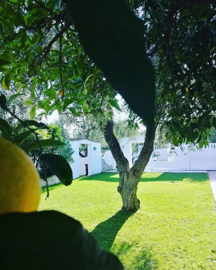 מאטינאטה Hotel Il Melograno מראה חיצוני תמונה
